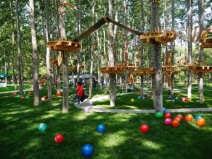 Pingo Space Around the world 9