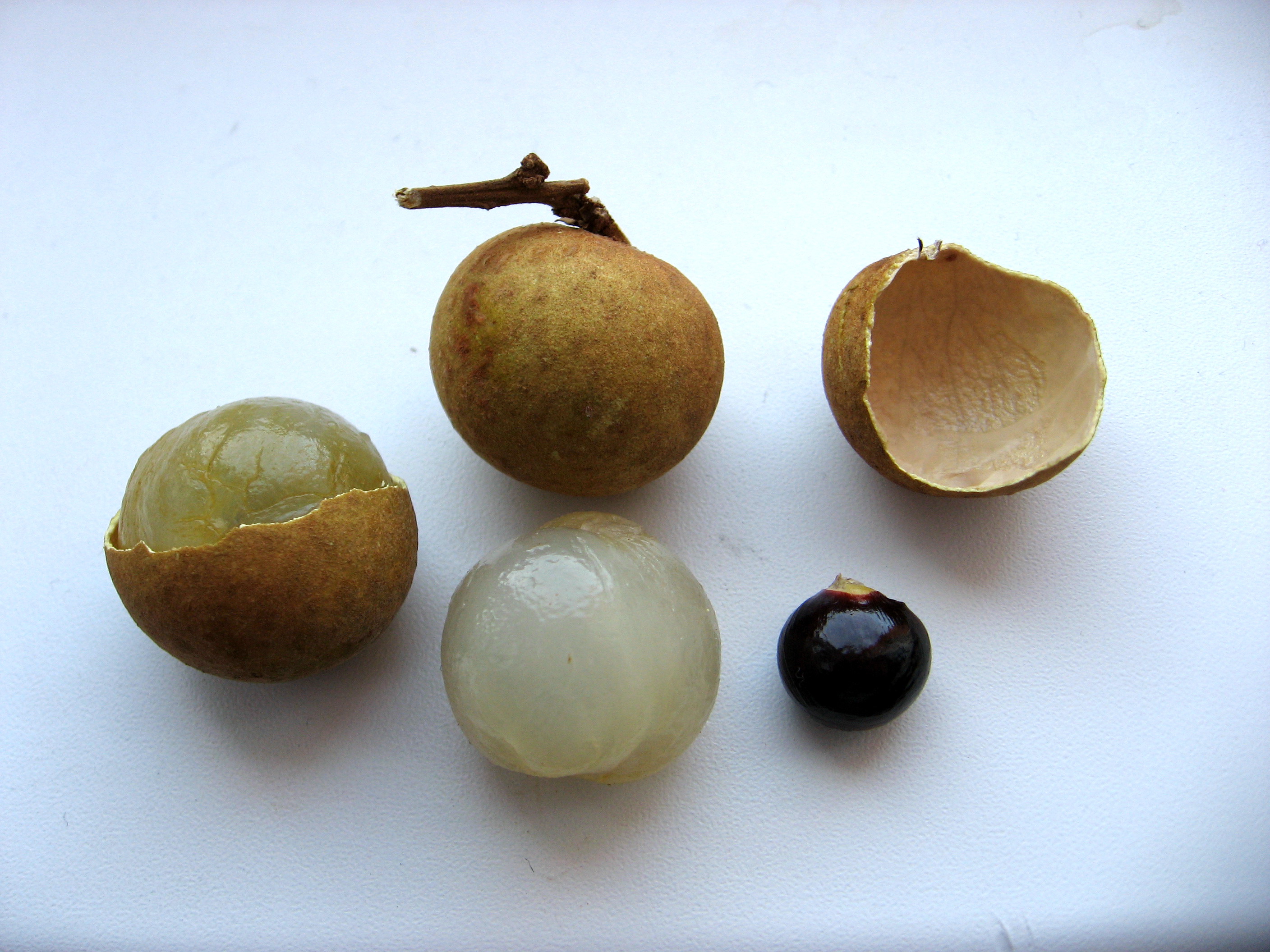 Longan_(2)
