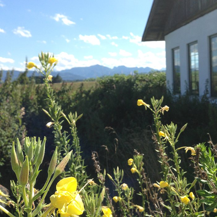 Taking-a-city-child-to-the-countryside_06