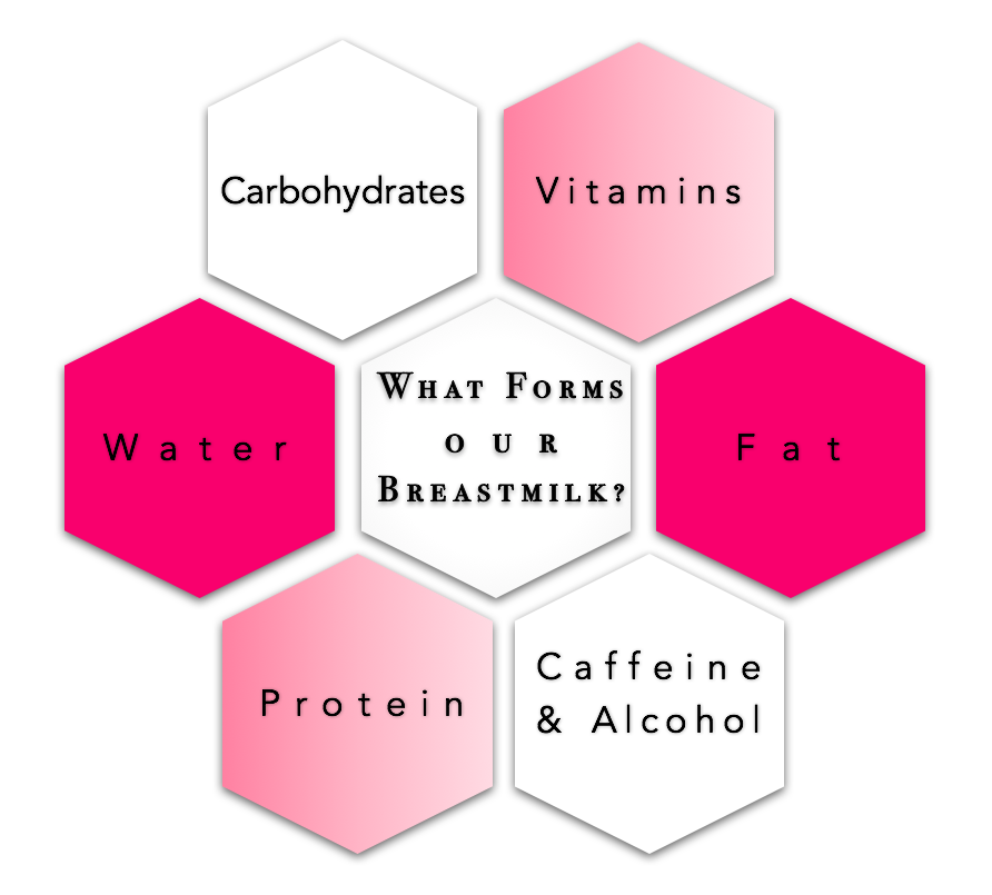 What forms our breastmilk chart