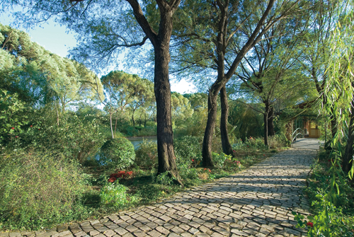The Orchard; photo by Judy Zhou
