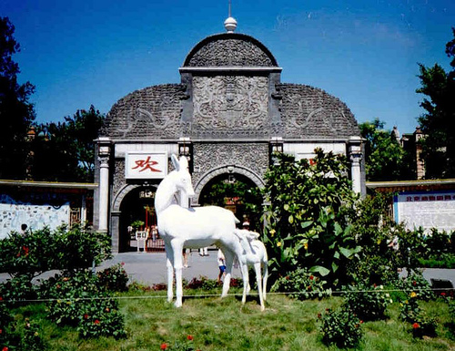 Photo by Natalie Maynor