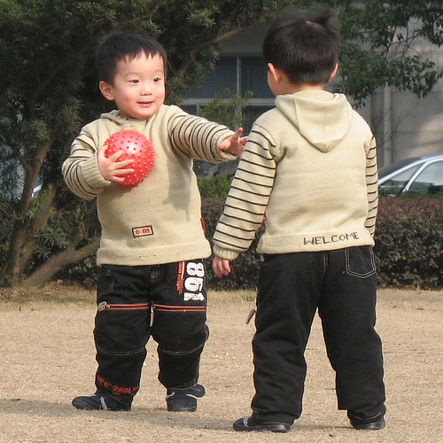 Photo from flickr by dadiolli