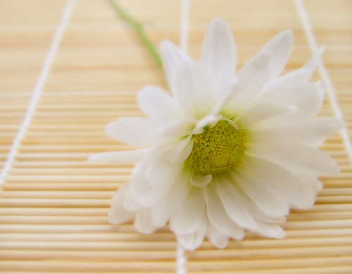 Photo by dandy_fsj of Flickr.