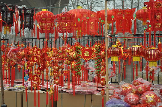 Some CNY decorations available outside at the Beidong Flower Market.