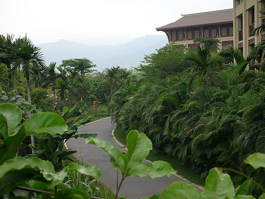 Lush greenery in addition to beautiful beaches in Sanya.
