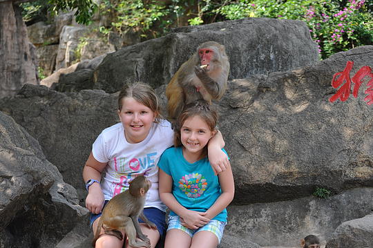 They're tame...and clean...and disease-free, right?