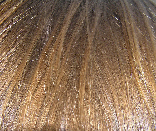 How do you get beautiful hair in China? Photo by charleebrown of flickr