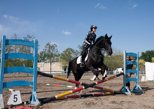 Last year, Emily Zhang won first place in two competitions for jumping 80cm