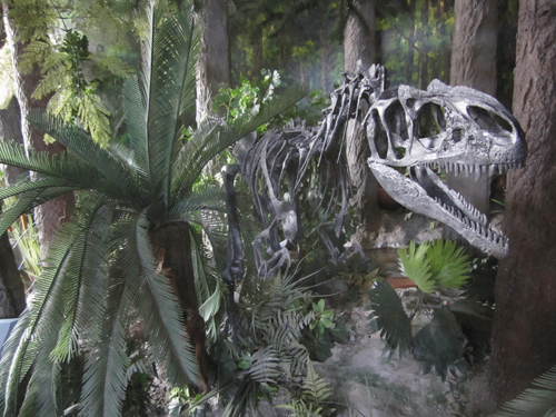 Yizhou Fossil and Geology Park