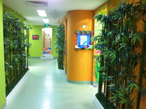 Enjoy the new bamboos. Photo courtesy of New Bamboo Academy