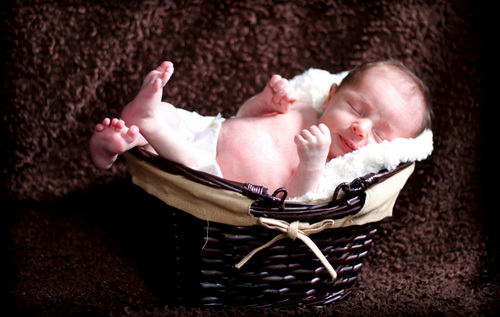 Photo by christopherallisonphotography.com of flickr