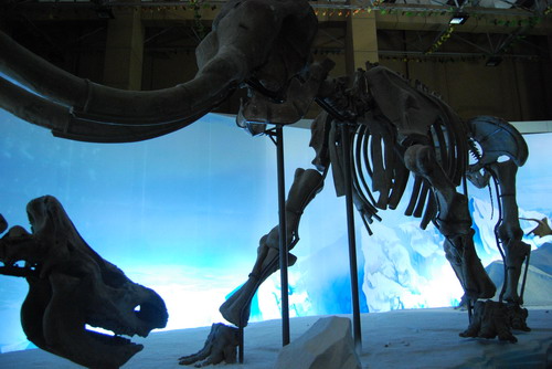 A day out with the dinosaurs!