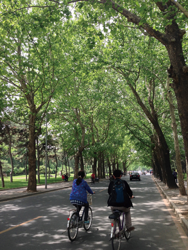 Tsinghua University campus