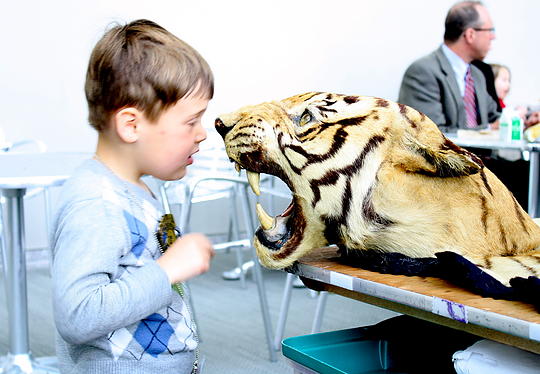 They're gonna get you! Photo by USFWS of Flickr