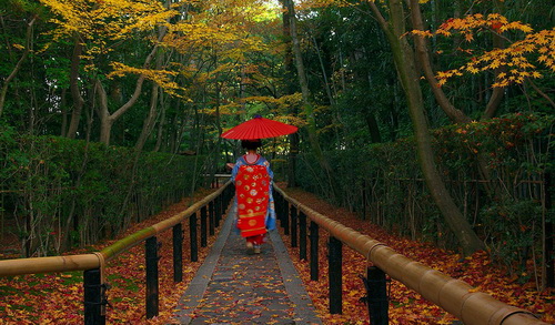 Kyoto was the seat of the royal family for about 1000 years. And it is without doubt the cultural highlight of Japan. Explore the lovely Japanese Gardens, beautiful temples, gorgeous castle and excellent museums.