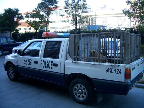 Beware of the white and blue pooch snatchers