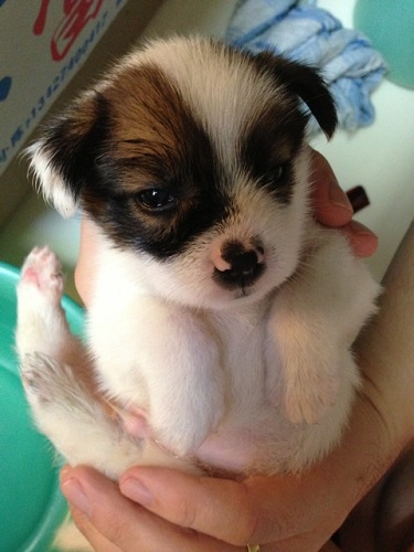 only a handful at three weeks