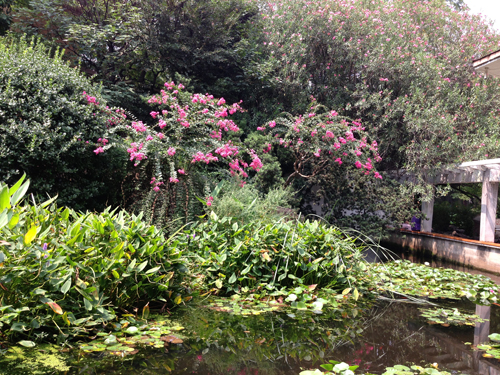 People's Park's fantastic landscaping. Photo by Jerry Chan