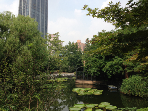 The lush and lovely People's Park in the heart of Puxi is perfect for a stroll with young kids. Photo by Jerry Chan.