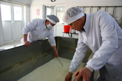 Yellow Valley guarantees antiobiotic-free milk and cheeses. Image courtesy of Marc de Ruiter