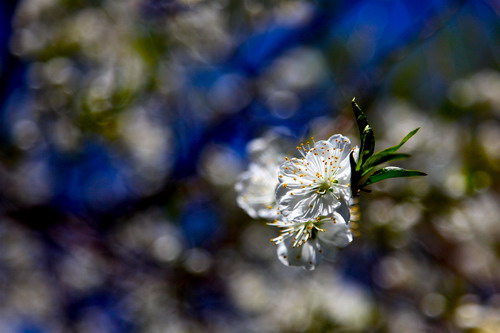 photo by Christopher Lay