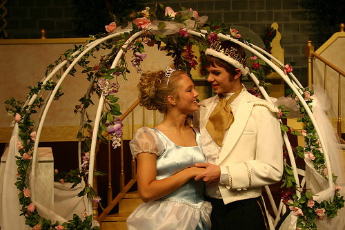 "I think we should get a pre-nup, don't you?" Photo by swilfong44 of Flickr