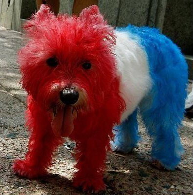 Not everything needs to be red, white and blue