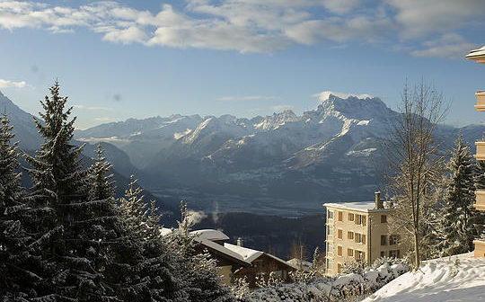 Leysin American School