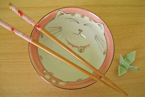 Cat bowl and chopsticks