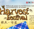 BCIS Harvest Festival 2016