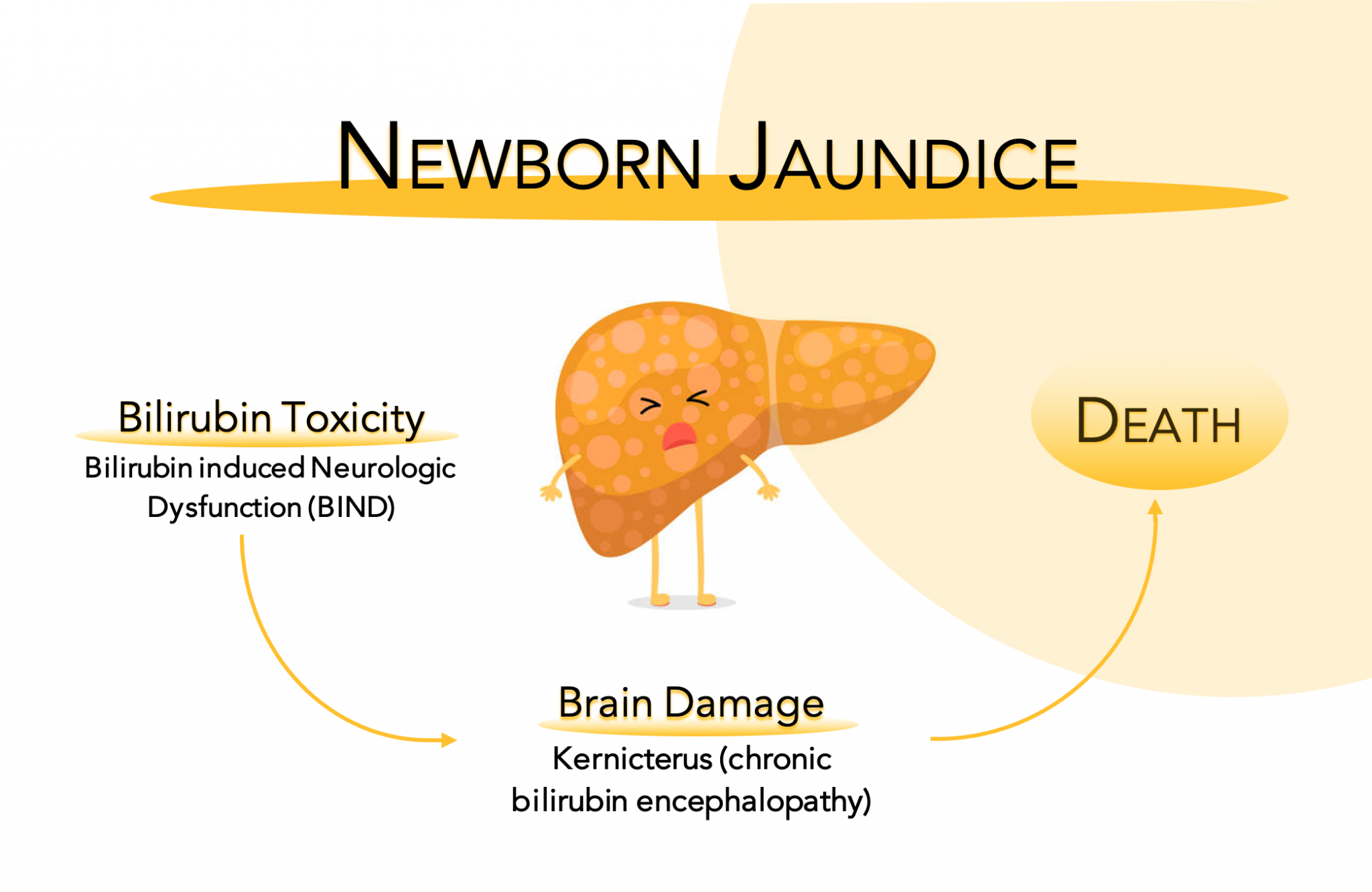 When Your Baby Turns Yellow The Real Factors Behind Jaundice
